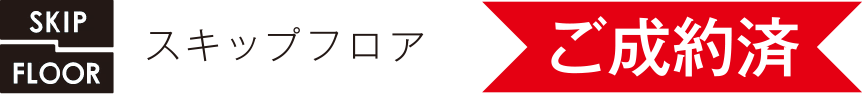スキップフロア