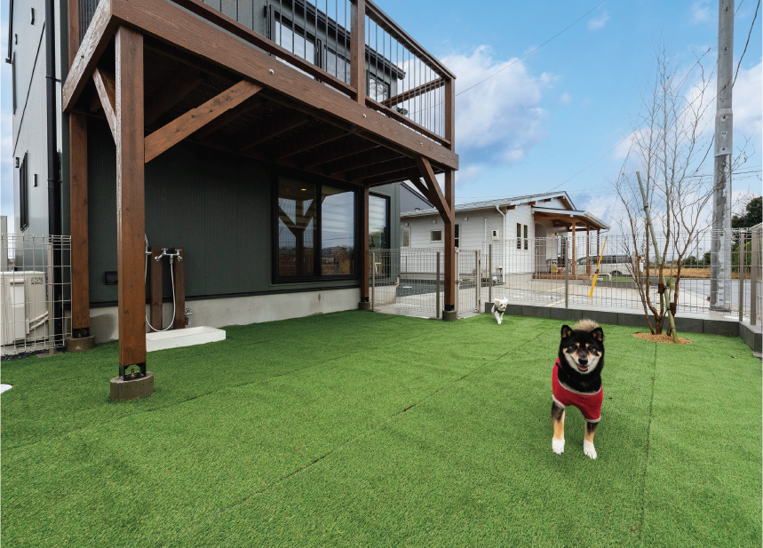 Outdoor Dog Run