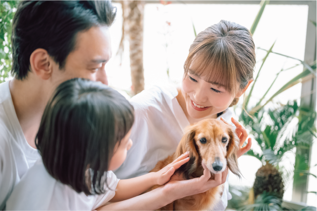 Family Petting Dog