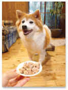 Kuuta
