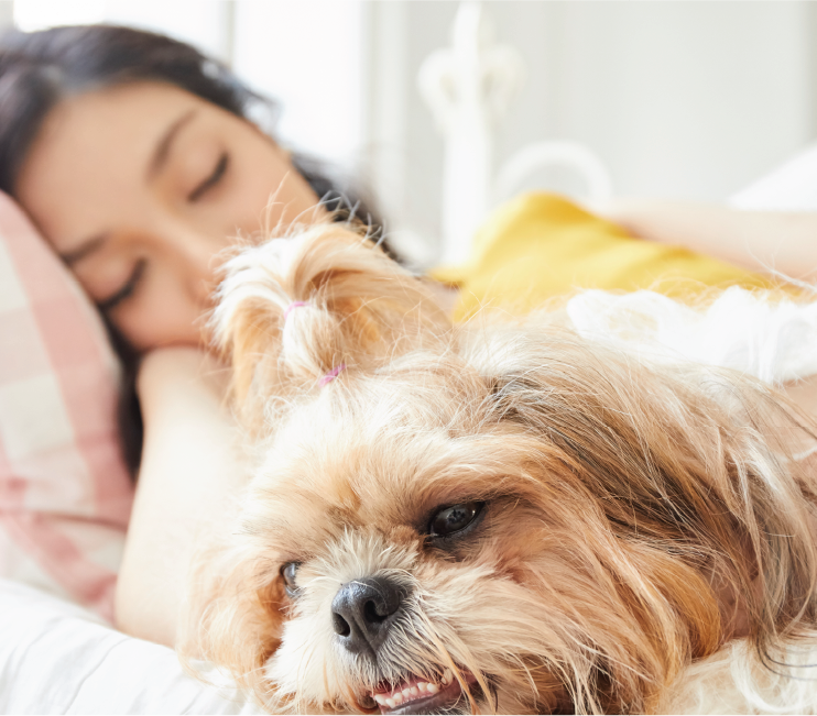 Woman and Dog relaxing