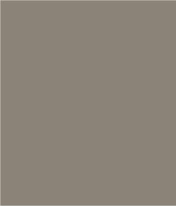 Plan 2 Brown Overlay