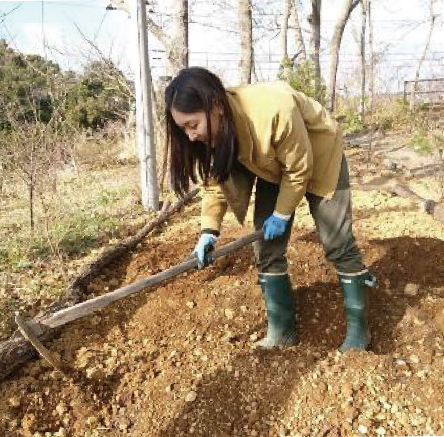 Seki Mayumi
